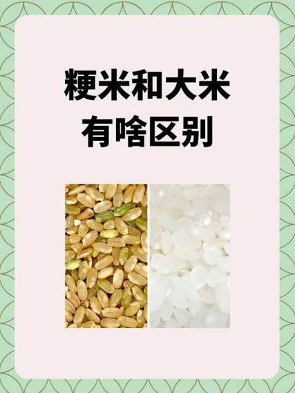 粳米和大米的区别图片