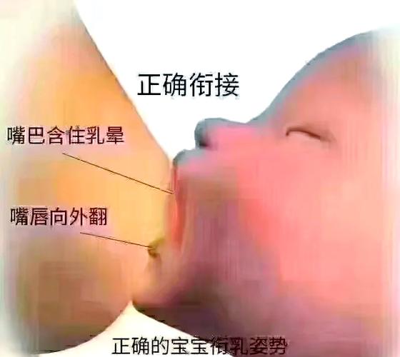 如何正确母乳喂养及技巧