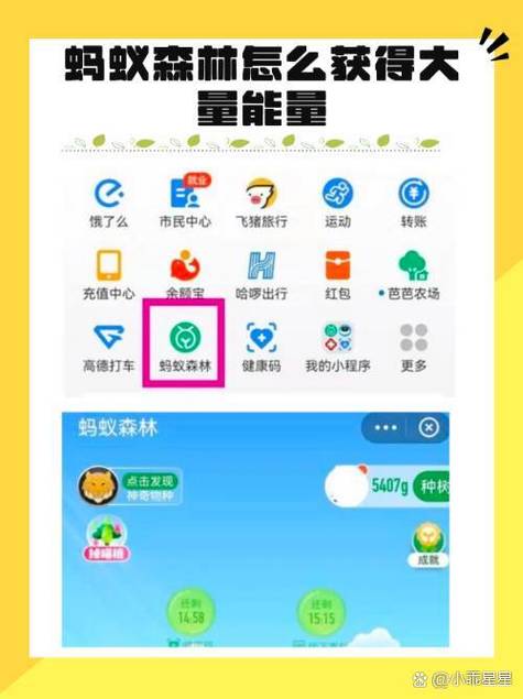 蚂蚁森林如何获取能量