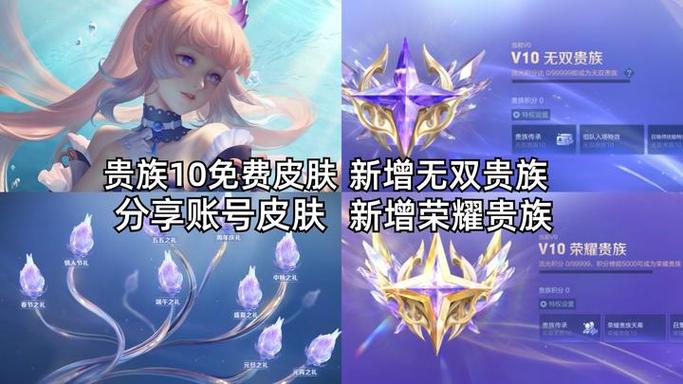 王者贵十皮肤共享规则截图2