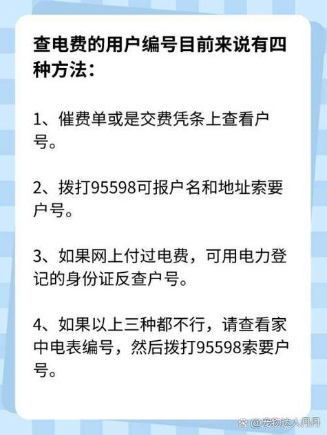 95598电费户号查询入口