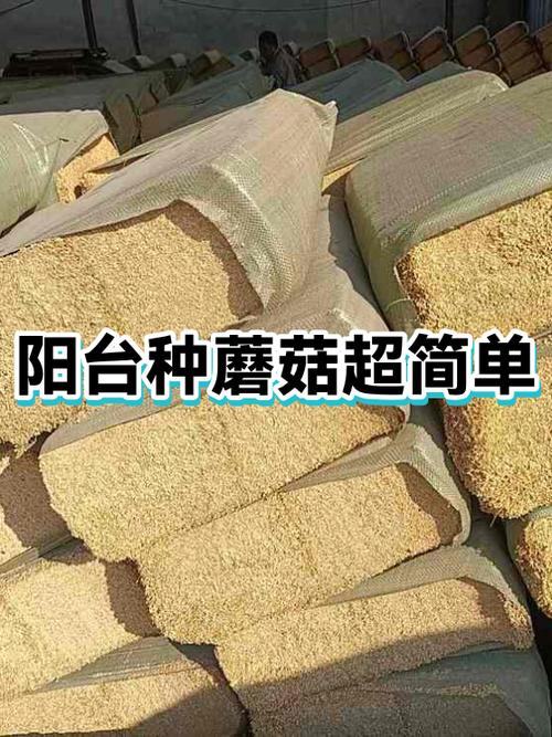 家庭种蘑菇的简易方法