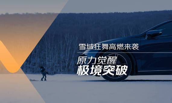 主角每个境界都打破极境