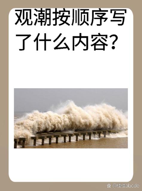 你真浪是什么意思