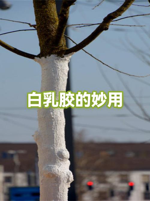 乳白胶适合粘什么东西截图3