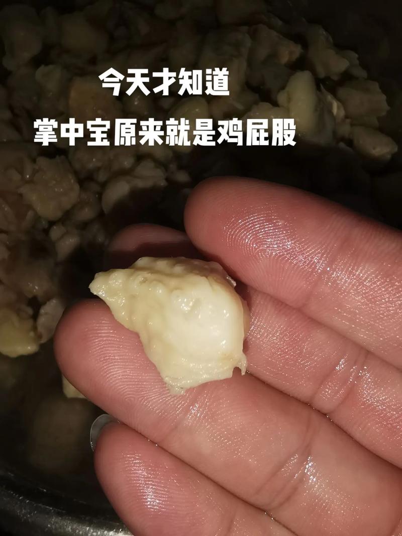 鸡屁股又称掌中宝