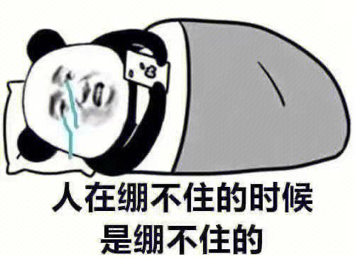 我绷住了表情包 我绷住了表情包
