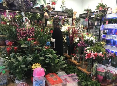 做花卉生意前景如何 做花卉生意前景如何