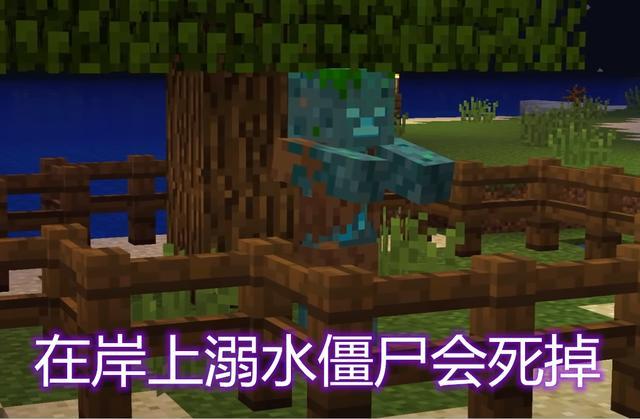 我的世界水里的人