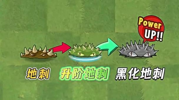 植物大战僵尸2地刺怎么升阶