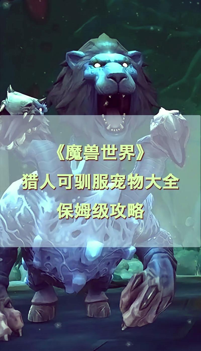 魔兽世界猎人可以抓几个宠物