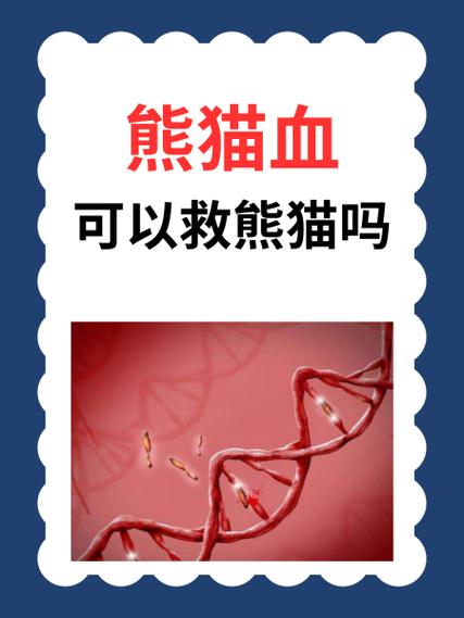 熊猫血型生孩子健康吗