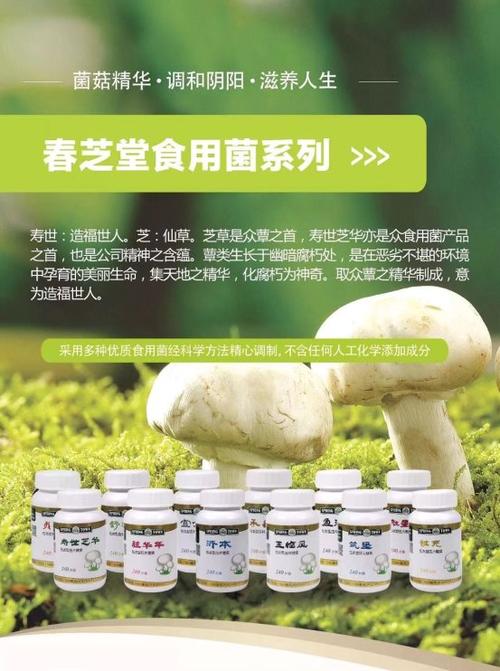 嵇汝运和春芝堂是什么关系