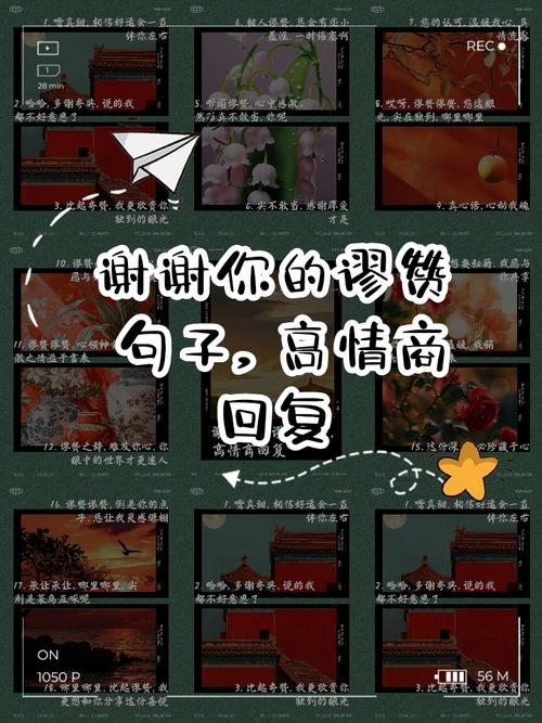 谢谢你的谬赞合适吗