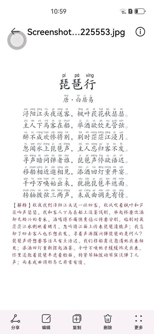 琵琶版琵琶行