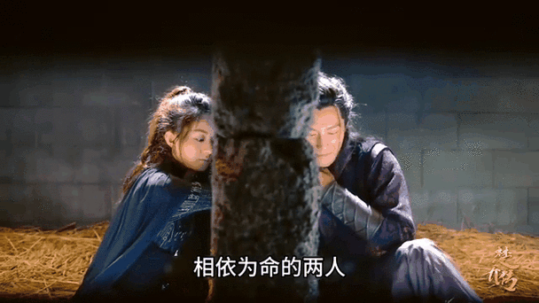 燕洵重生文楚乔