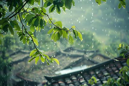 下雨视频素材无水印可下载