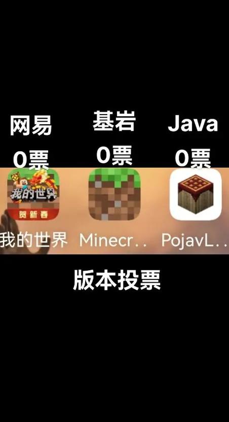 MC有多少人玩