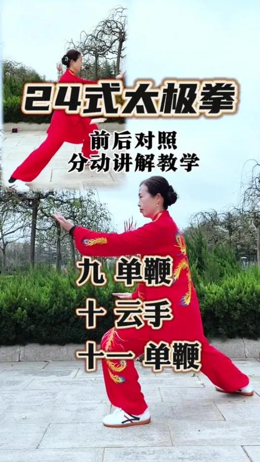 24式1-24节分解教学慢动作