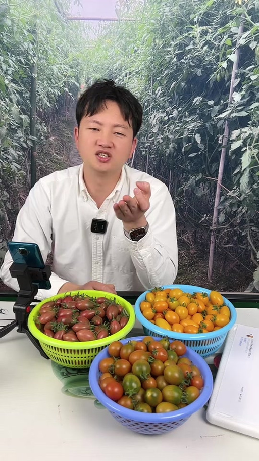水果番茄直销直播