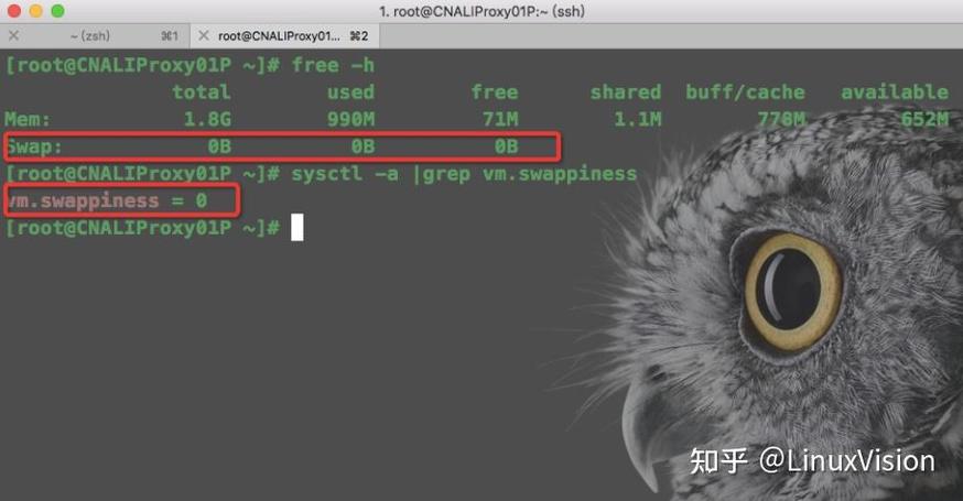 lsass.exe报错