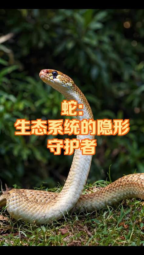 系统文件完整性检查和修复