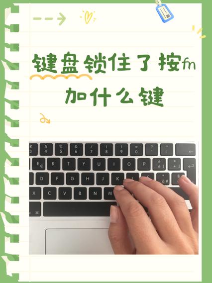 外星人键盘锁住了fn和什么键