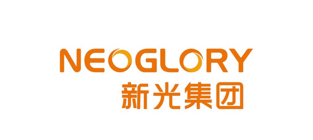 中国新光控股集团