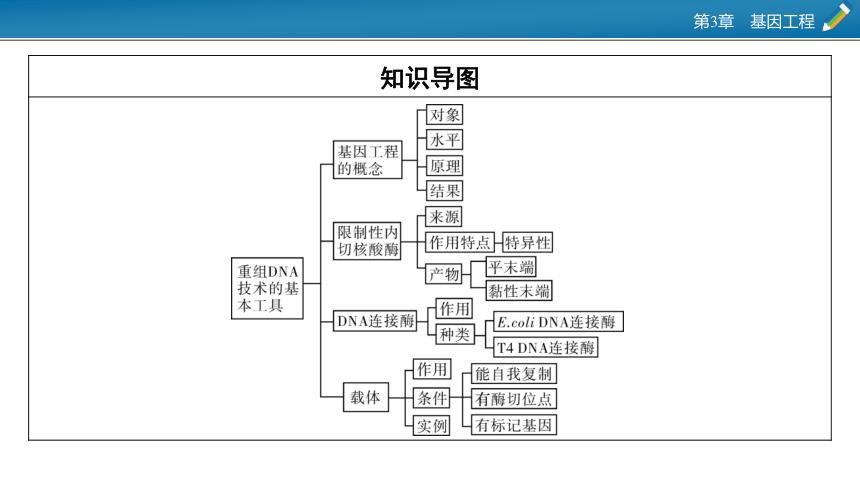 基因工程知识点总结截图2