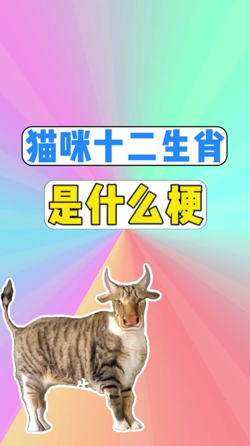 猫最旺三个属相