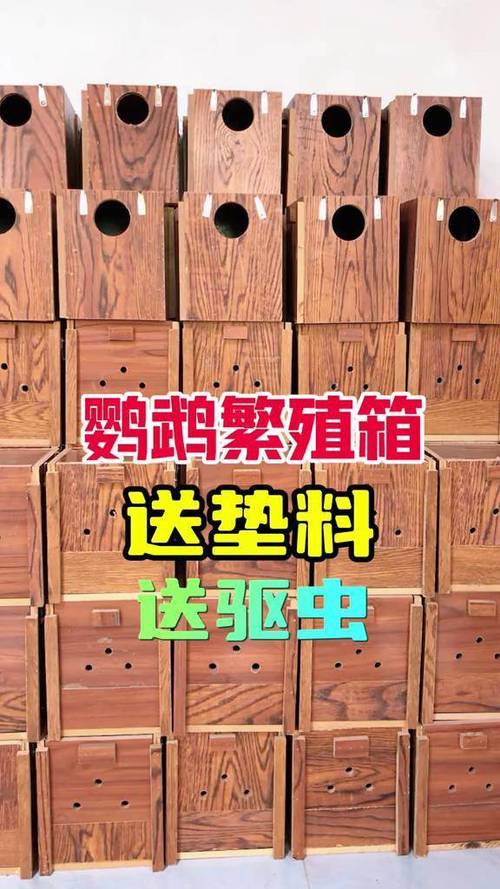 大可乐瓶自制鹦鹉繁殖盒