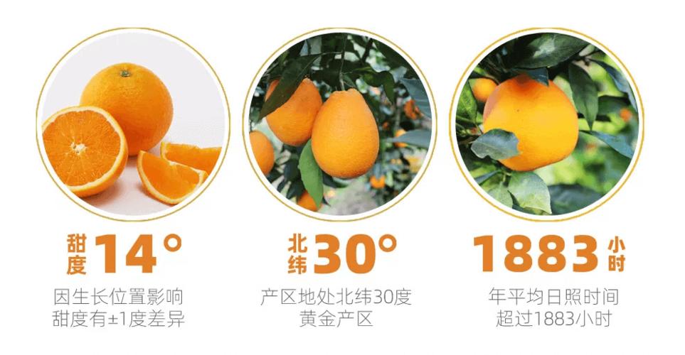 星球果园怎么打不开 星球果园怎么打不开