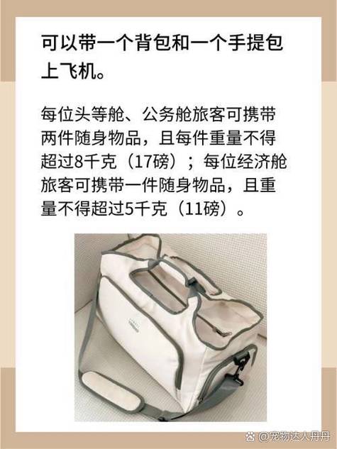 上飞机书包可随身携带