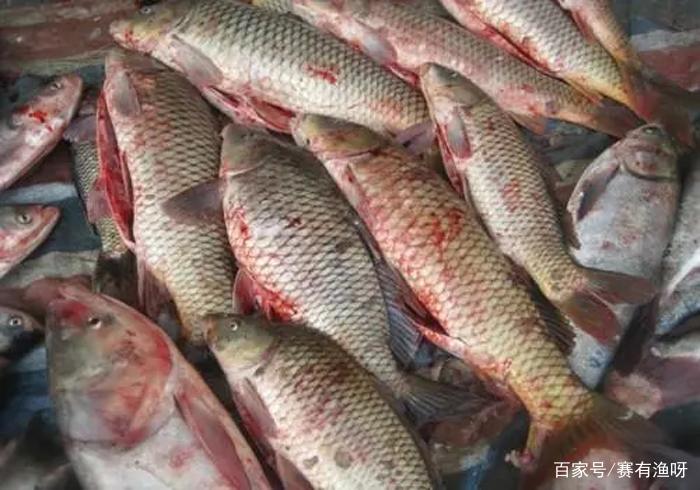 鱼肉变红了是怎么回事