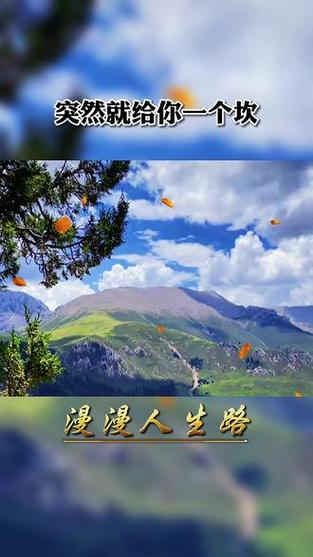 漫漫人生路当当