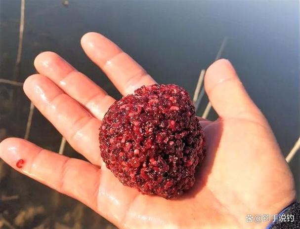 钓鱼为什么禁用红虫
