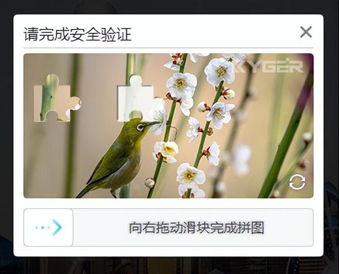 告诉银行人员验证码安全吗