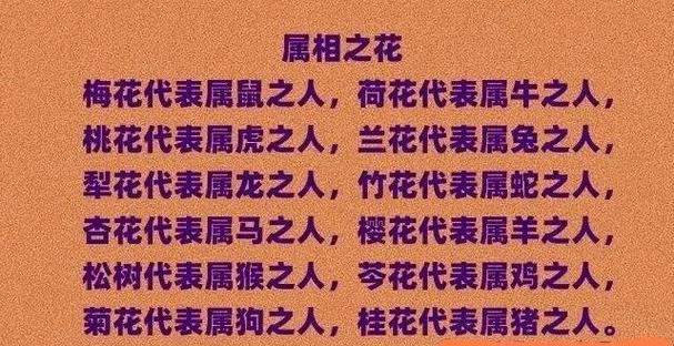十二生肖花位对照表