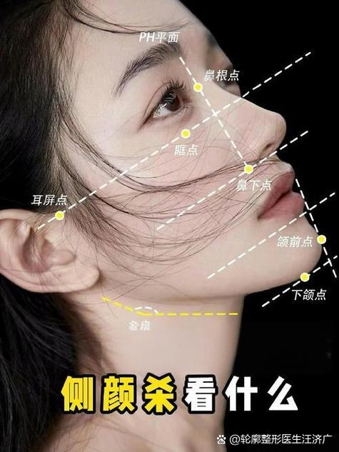 人脸五官图解