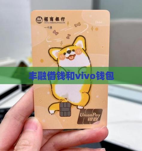 丰融借钱是vivo钱包吗