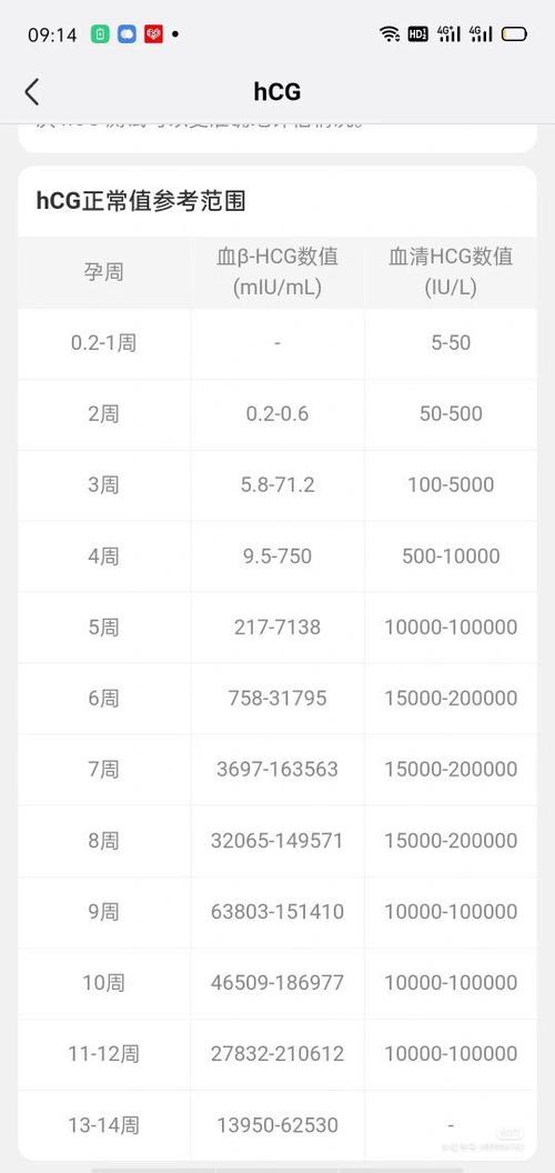 200毫升血是几两
