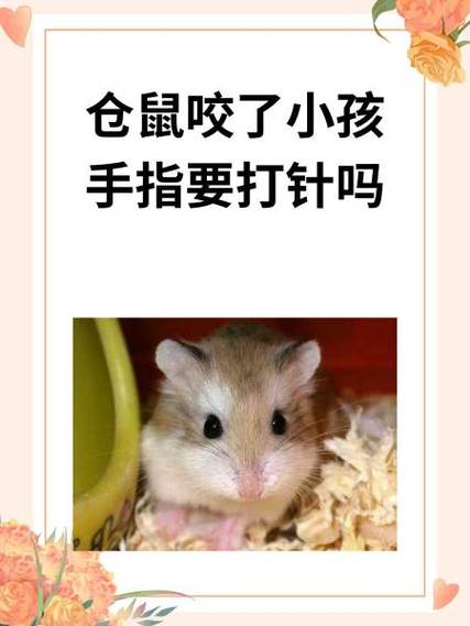 母仓鼠为什么爱咬笼子