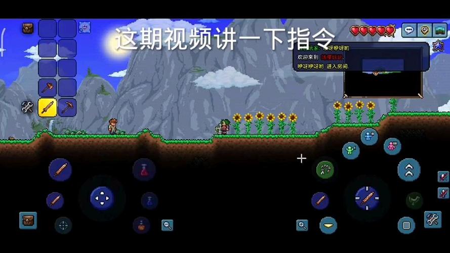 泰拉瑞亚电脑版指令