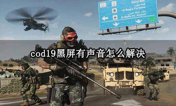 cod进游戏黑屏截图2