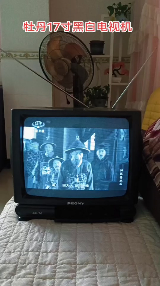 袖珍黑白电视机