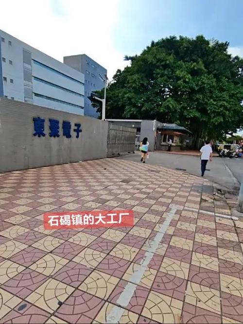 广东东莞电子厂