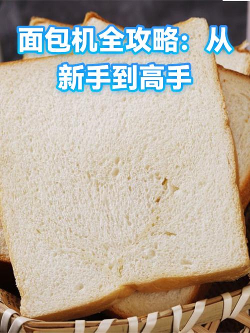 面包机用了6年后的感受