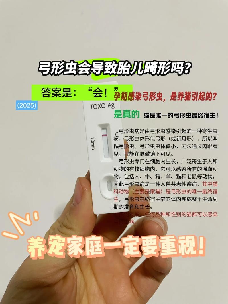 床上棕色硬壳小虫子