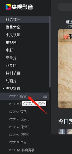 电脑版央视影音看不了