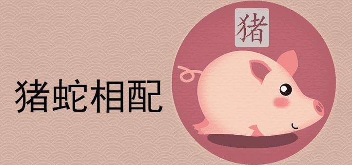 猪和蛇相克还是相冲
